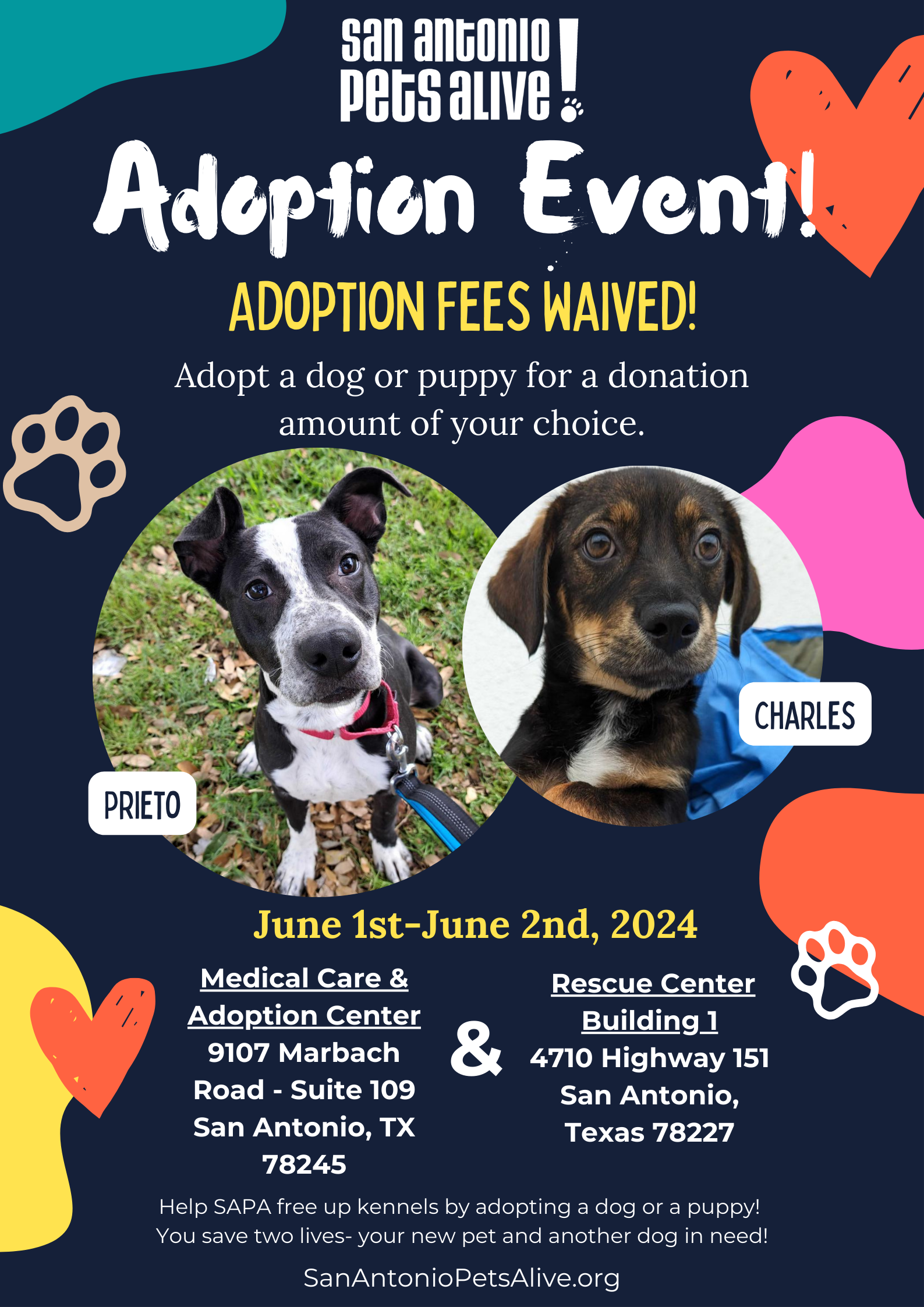 Waived Adoption Fees - Adopt a dog or a puppy for a donation amount of your choice!